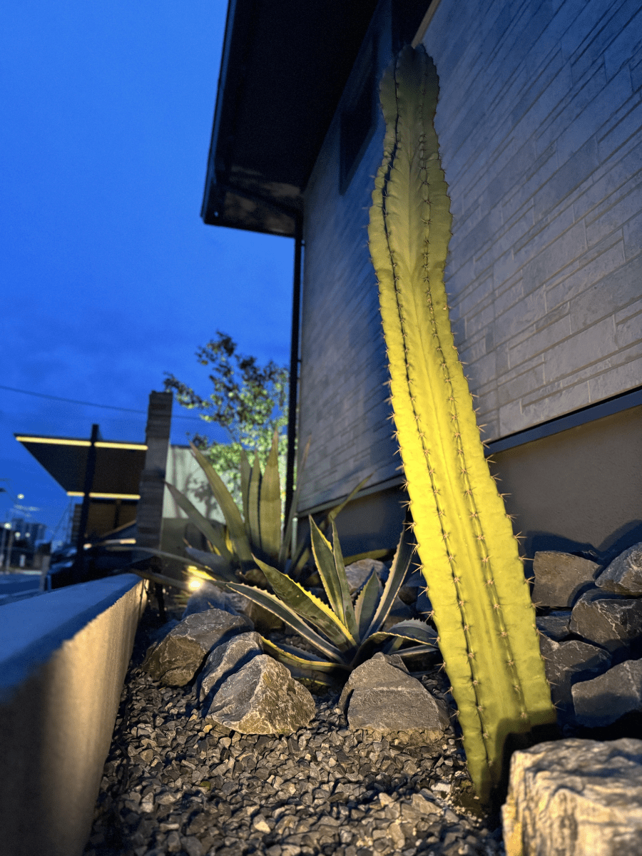 ドラセナやサボテンを植えた門柱裏のロックガーデン風花壇の夜景2