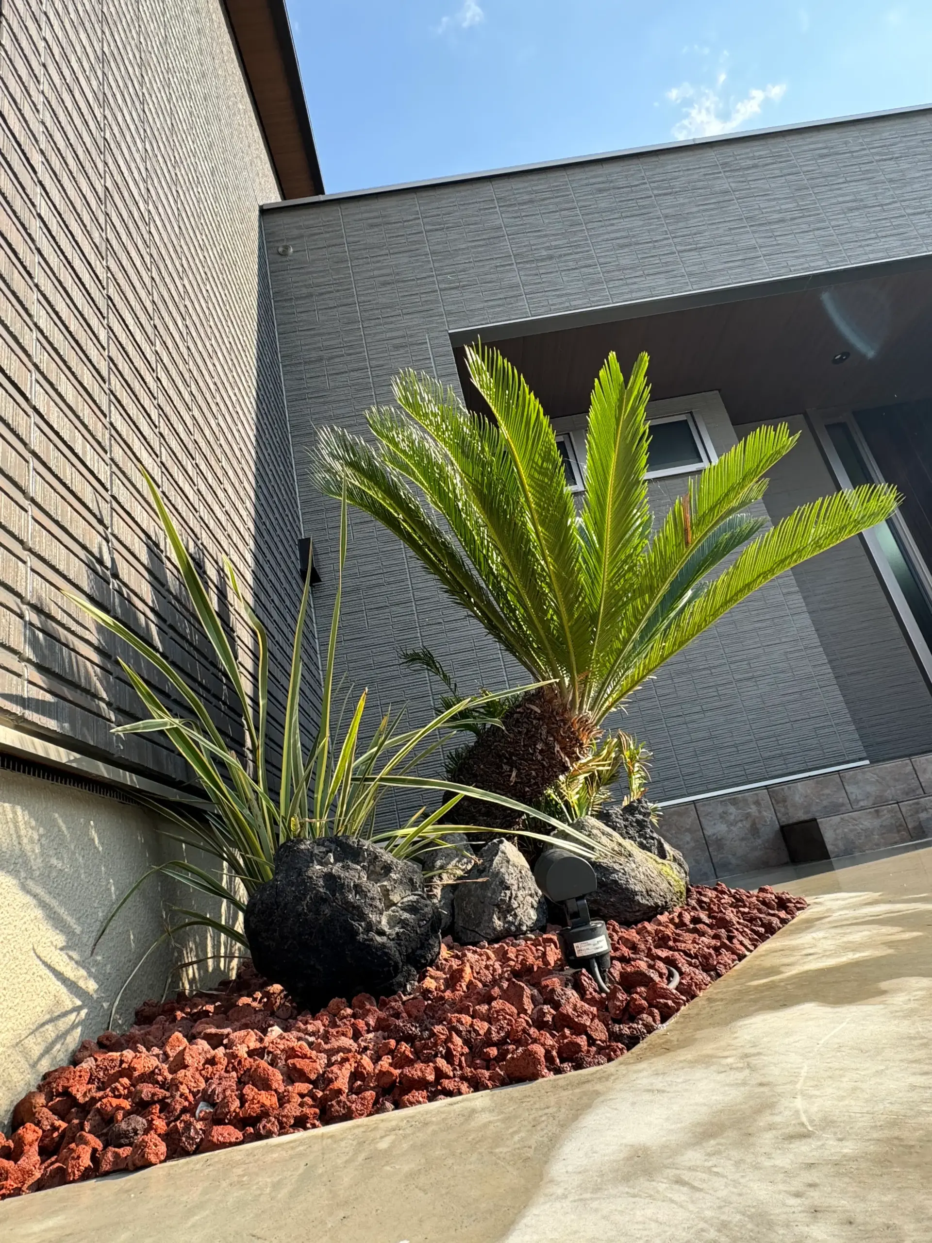 ソテツを植えたドライガーデンとガビオンが彩る玄関周り